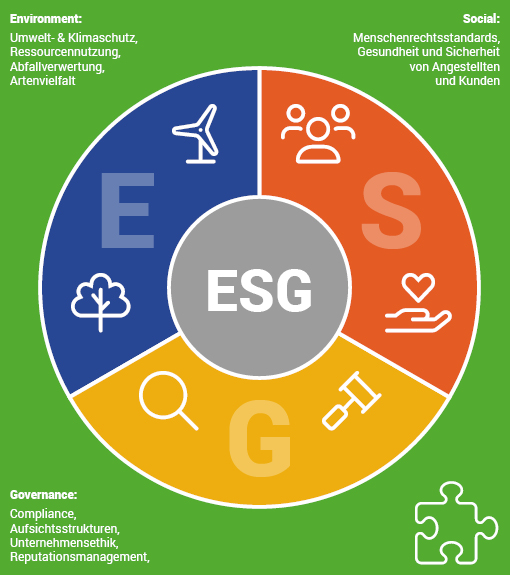 ESG-Management mit Hilfe einer Nachhaltigkeitssoftware