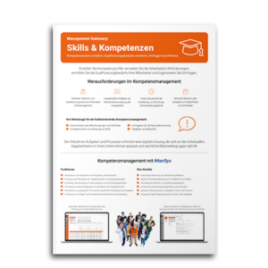 Management Summary Skills & Kompetenzen